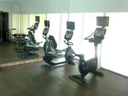 Tribeca (D9), Condominium #573895761